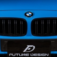 BMW F80 M3 F82 M4 專用Performance款 亮黑水箱罩 亮黑鼻頭