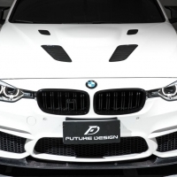 BMW F30 F31 F35 雙孔 駝峰 引擎蓋 M3 GT款 四孔  金屬材質 鐵件