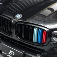 BMW F15 X5 M款 三色 亮黑 水箱罩 黑鼻頭