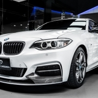 BMW F22 MTECH PERFORMANCE 碳纖維 卡夢 前下巴