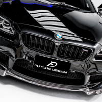 BMW F06 F12 F13 M6 鋼烤黑水箱罩  亮黑鼻頭