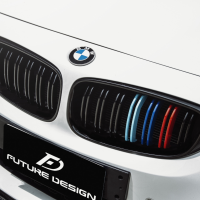BMW F34 3GT 雙線 亮黑 三色 M款 鋼琴烤漆黑 雙閘 水箱罩