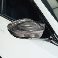 BMW G60 乾碳 乾式碳纖維 牛角 後視鏡蓋